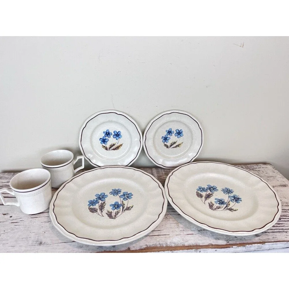 Vintage Kensington Staffordshire Ironstone Dinnerware Set Hyde Park